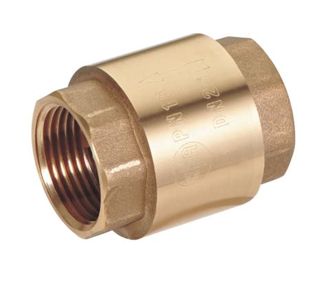 small check valves for water